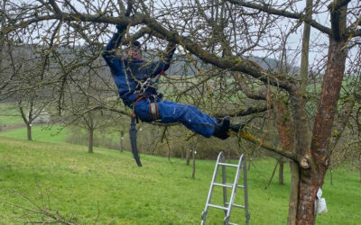 Baumschnittkurs Kreisobstgarten // 01. 04. 2023