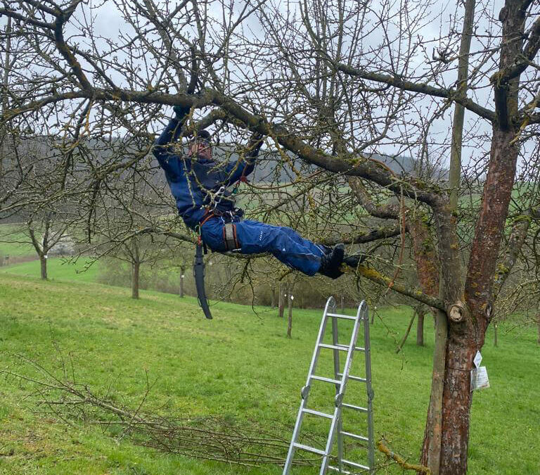 Baumschnittkurs Kreisobstgarten // 01. 04. 2023